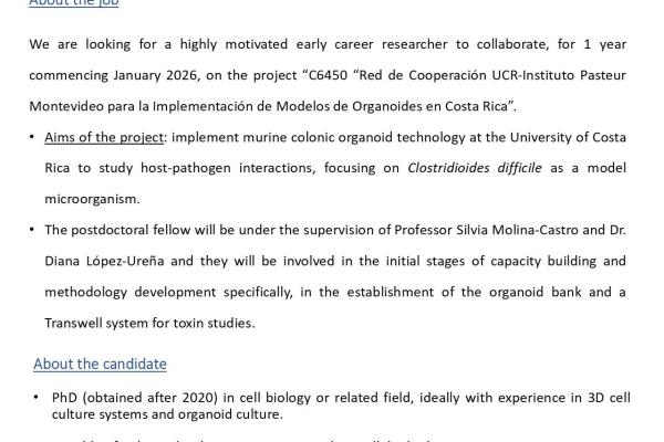 Concurso Postdoctoral