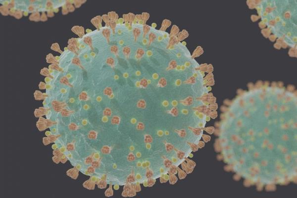 Así es como la UCR afronta el nuevo coronavirus