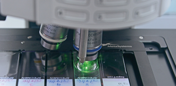 El daño invisible de la sobreirradiación y cómo la UCR la analiza para proteger vidas